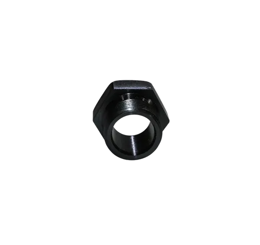 nut-water-stem-5602823